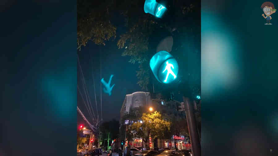 глюки камеры iPhone 11