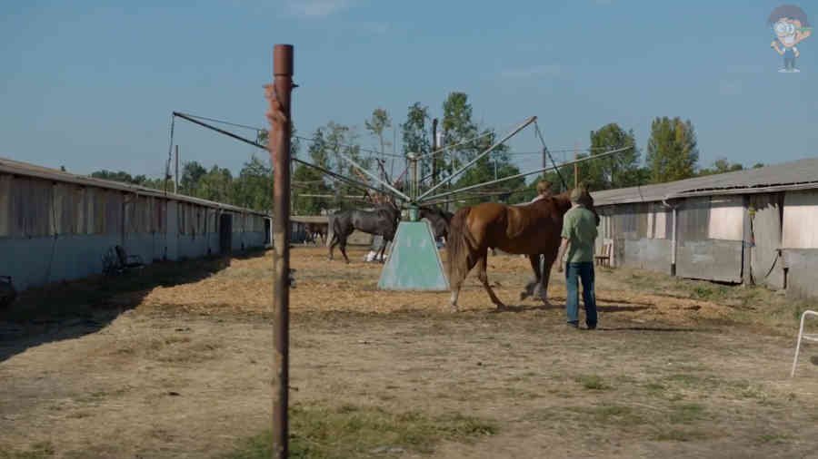 фильм Положитель на Пита