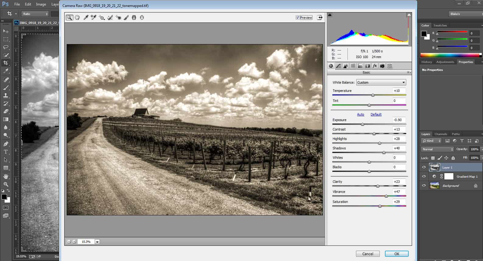 Камера фотошоп. Камера рав 2020. Adobe Photoshop Camera Raw 2020. Камера рав для фотошопа. Camera Raw 12.4.