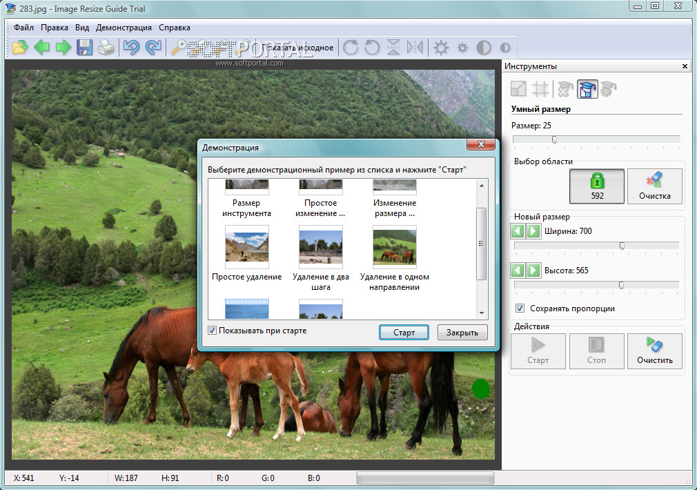 Resize image