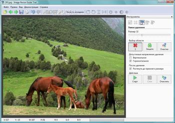 Image Resize Guide скриншот № 1