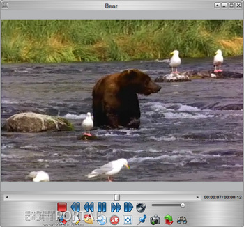 FLVPlayer4Free скриншот № 1