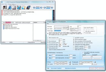 RaidenFTPD скриншот № 1