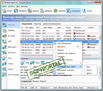 NetStat Agent скриншот № 1