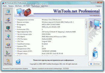 WinTools.net Professional скриншот № 1