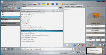 MusicSort Platinum скриншот № 1