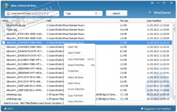 Wise JetSearch скриншот № 1