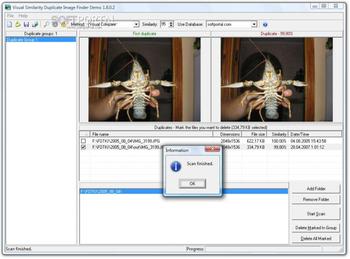 Visual Similarity Duplicate Image Finder - скачать бесплатно Visual Similarity Duplicate Image Finder 6.7.0.1