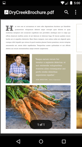 Google PDF Viewer скриншот № 1