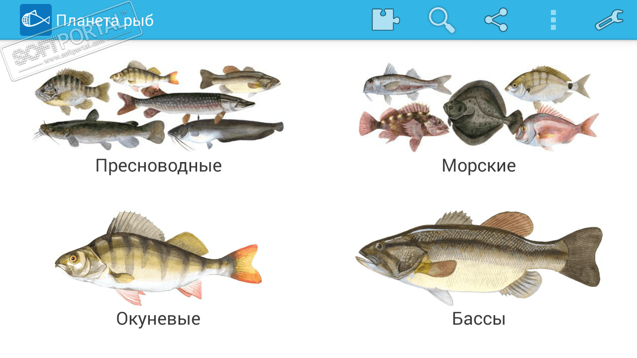 Все Названия Рыб И Фото