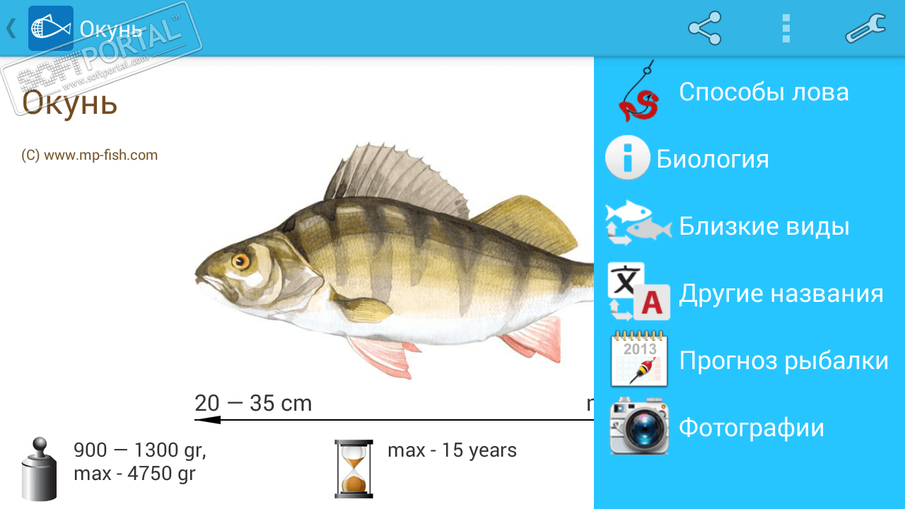 Тест рыбы 2 класс
