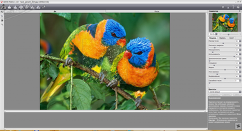 AKVIS Points скриншот № 1