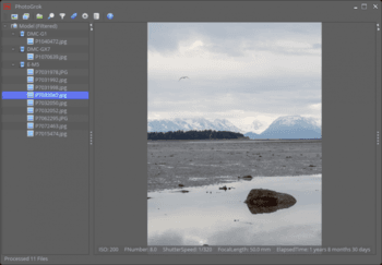 PhotoGrok скриншот № 1