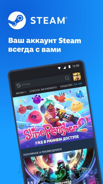 Steam скриншот № 1