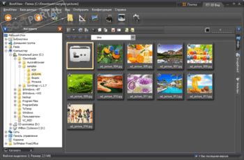 BonAView скриншот № 1