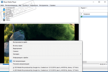 Blues Media Player скриншот № 1