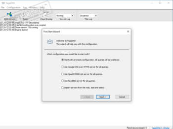 YogaDNS скриншот № 1