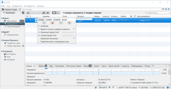 BiglyBT скриншот № 1