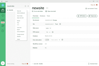 Local скриншот № 1