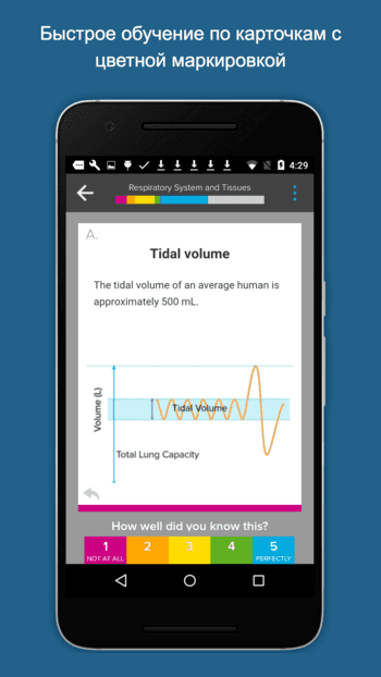 Brainscape скриншот № 1