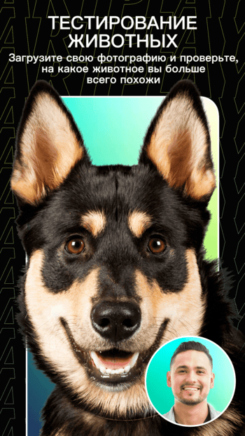 ArtPlay скриншот № 1