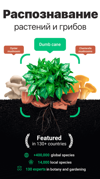 NatureID скриншот № 1