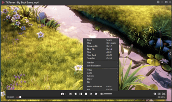 TKPlayer скриншот № 1