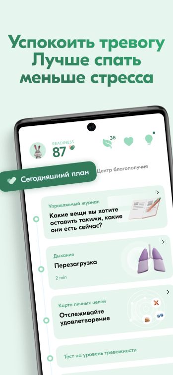 VOS: Wellbeing Plan & Journal скриншот № 1