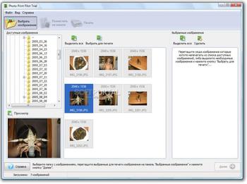 Photo Print Pilot скриншот № 1