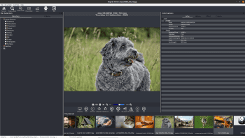 Regards Viewer скриншот № 1