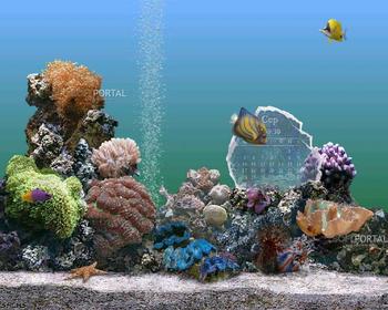 Marine Aquarium - скачать бесплатно Marine Aquarium 3.3.6341