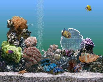 Marine Aquarium скриншот № 1