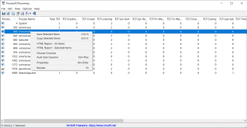 ProcessTCPSummary скриншот № 1