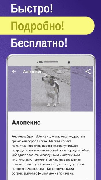 Dog breeds скриншот № 1