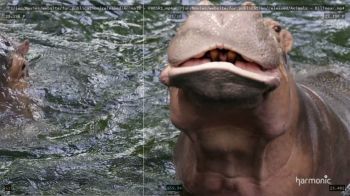 Video-compare скриншот № 1