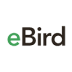 скачать eBird