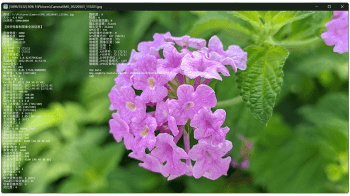 JarkViewer скриншот № 1