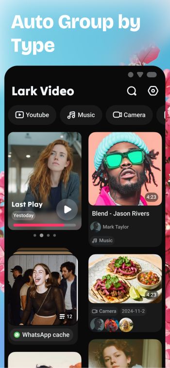 Lark Video Player скриншот № 1