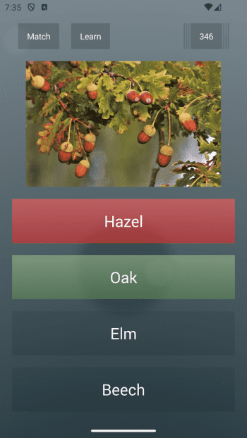 Knowledge Quiz скриншот № 1