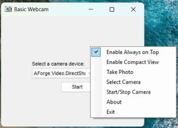 Basic Webcam скриншот № 1