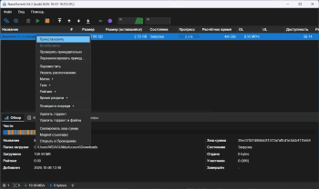 NanoTorrent скриншот № 1