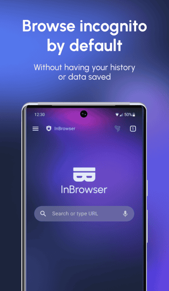 InBrowser скриншот № 1