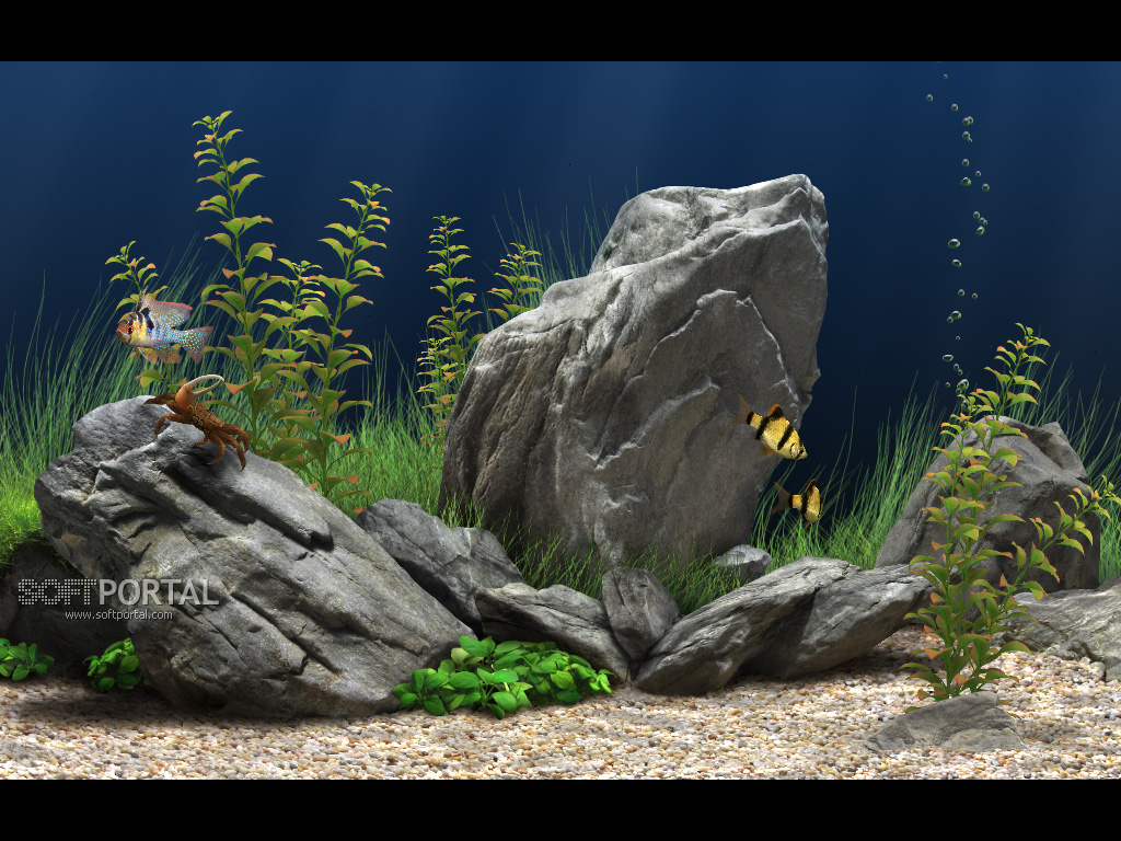 dream aquarium wont work on windows 10