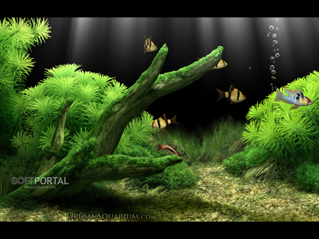 dream aquarium vollversion kostenlos dream aquarium vollversion kostenlos