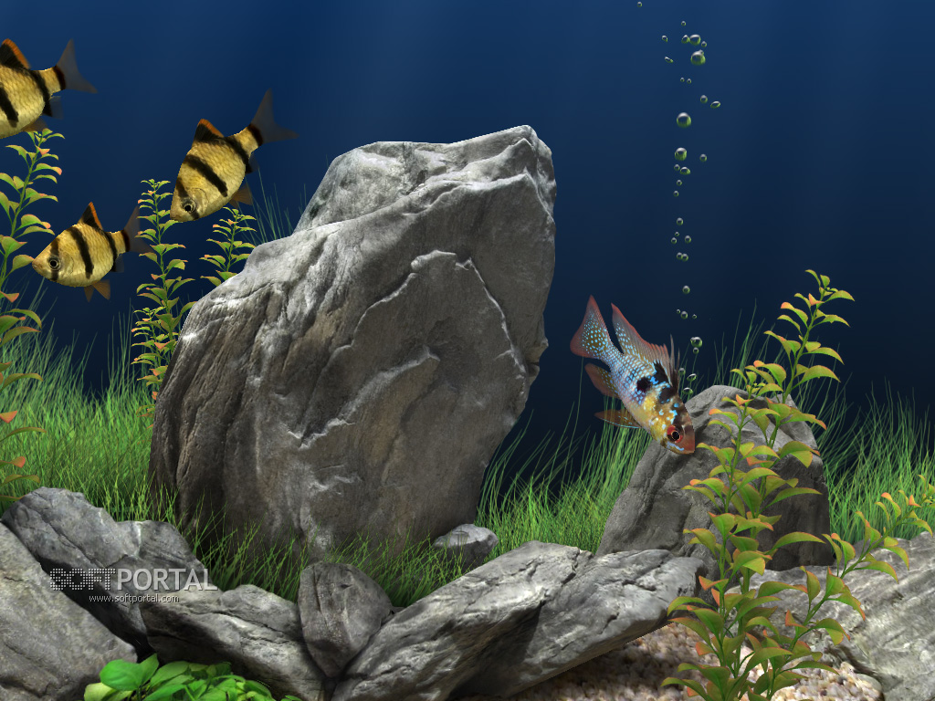 dream aquarium serial 1.27