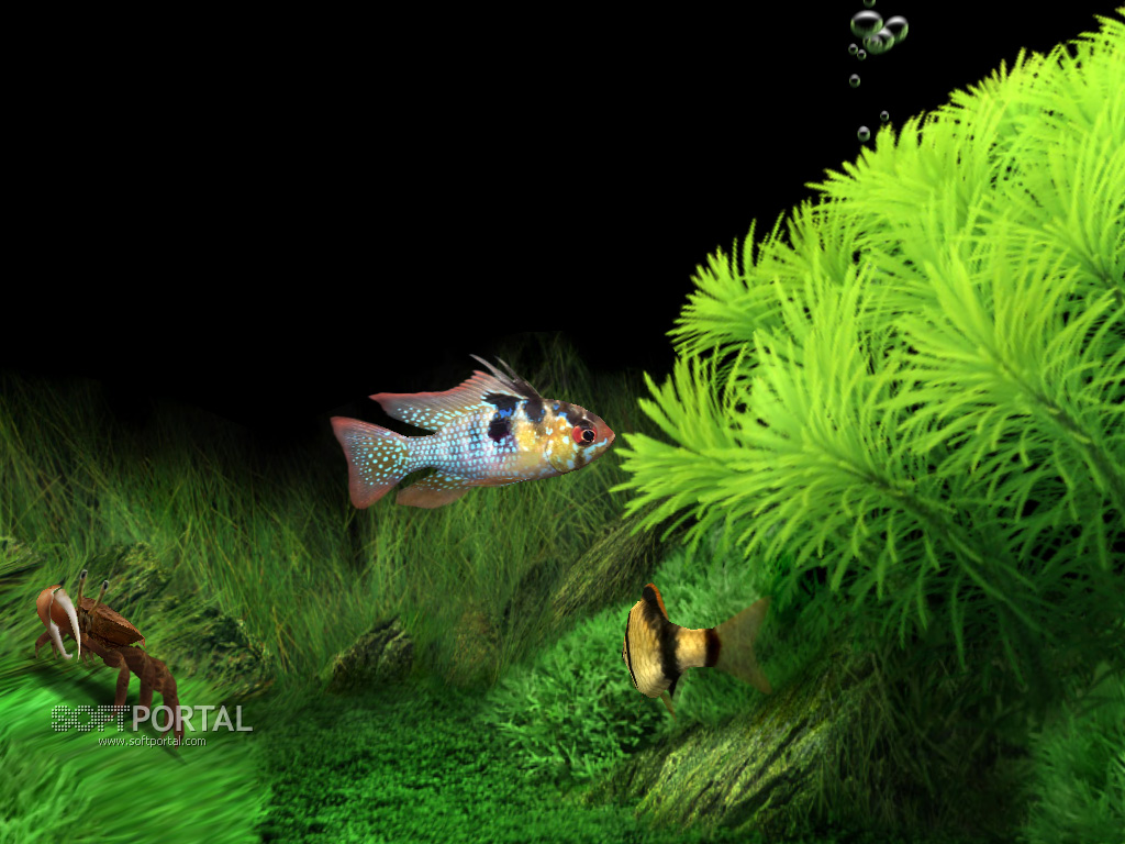 dream aquarium windows xp